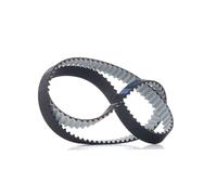 DAYCO 94996 Cinghia dentata