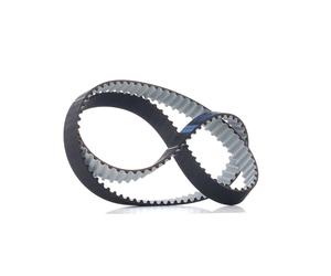DAYCO 94996 Cinghia dentata
