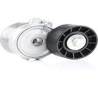 Dayco APV1028 TENDITORE AUTOM.Fiat Scudo ULYSSE E