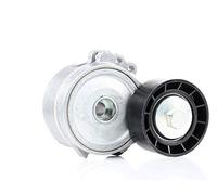 DAYCO APV1030 TENDITORE AUTOM.Peugeot 206D