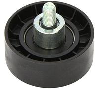 DAYCO APV1059 Tenditore Libero
