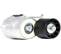 DAYCO APV1078 TENDITORE AUTOM.New Panda-Punto-YPSILON