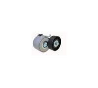 DAYCO APV1150 Fiat Ducato Jtd 3.0