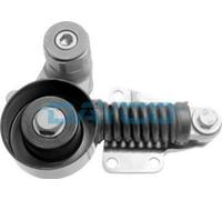 Dayco Tenditori Apv2230