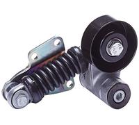 DAYCO APV2230 Tenditore cinghia servizi