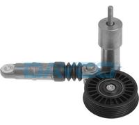 Dayco APV2259 TENDITORE Audi A4 1.9 Tdi (verif.matr.).