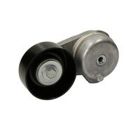 Tendicinghia, cinghia a V DAYCO APV2447