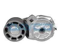 DAYCO APV2454 Tenditore cinghia servizi
