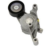 Dayco APV2501 Tendicinghia, Cinghia Poly-V