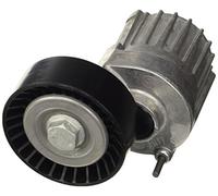 Dayco APV2511 TENDITORE Audi-Seat Skoda VW