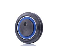 DAYCO APV2667 Tenditore cinghia servizi