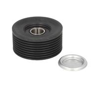 Dayco APV2703 Rullo
