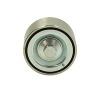 Puleggia folle, cinghia con nervatura a V DAYCO APV2724