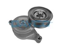 Dayco APV3005 Tendicinghia Cinghia Trapezoidale Scanalata per Mazda
