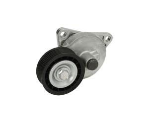 DAYCO APV3170 Tenditore cinghia servizi