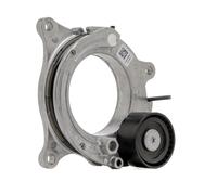 DAYCO APV4177 Tenditore cinghia servizi