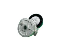 Dayco Aux Tendicinghia per Berlingo C5 C8 Spedizione Xsara Ducato Focus 2.0HDI