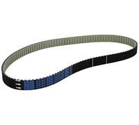 DAYCO CA941006 RENAULT KANGOO DCI 1.5