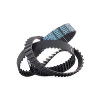 DAYCO CA94957 CINGHIA ISORAN CITROEN NEW BERLINGO C3