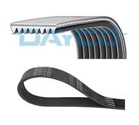 DAYCO Cinghia A V 8PK2317HD