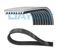 DAYCO Cinghia A V Denti Adatta Per Land Rover Range LS 8PK1956