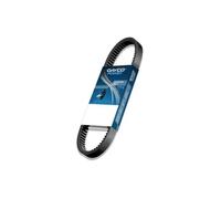 Dayco Cinghia™ di trasmissione CVT di potenza