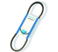 Cinghia di trasmissione DAYCO DAY8101