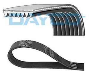 DAYCO Cinghia poli-v DAYC7PK1153