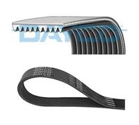 DAYCO Cinghia Poliv rip 10PK1342SHD 1342 mm Set Cinghie
