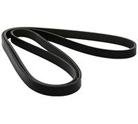 Dayco Cinghia Poly-V