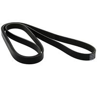 Dayco Cinghia Poly-V