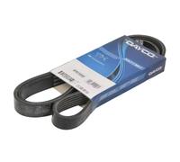 Cinghia Poly-V DAYCO 6PK1555S