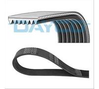 DAYCO Cinghia Poly-V Cambio manuale 155 168 H-1 / GRAND STAREX Autobus THEMA