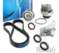 Dayco Cinghia + Rulli + Wapu per Audi A4 B6 B7 VW Passat 3B 2.0 Benzina