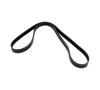 Dayco Cinghia Scanalata 6x1345 Fiat 500X Tipo 55251324 6PK1345