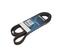 DAYCO Cinghia Scanalata Adatto A per Volvo V40 Familiare XC90 I V70 II 6DPK1840