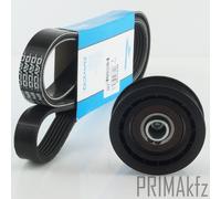 Dayco Cinghia Scanalata Galoppino per VW Transporter T4 70XB 70XC 70XD 70XA