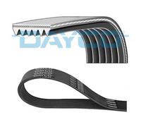 DAYCO Cinghia Scanalata per Kia Sorento II Sport Hyundai Santa Fé Grand