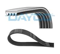 DAYCO Cinghia Scanalata per Nissan Note Micra III Honda Accord VI Coupé