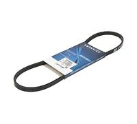 Dayco Cinghia trapezoidale