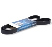 DAYCO CINGHIE TRAPEZOIDAILI Poly-V SERVIZI AUSILIARIA 6PK1400 oe 04792409AC