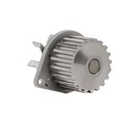 DAYCO DP010 Pompa acqua