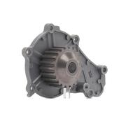 DAYCO DP061 Pompa acqua
