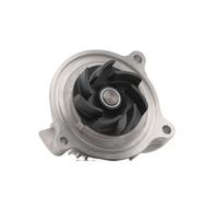 DAYCO DP164 Pompa acqua