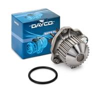 DAYCO DP193 Pompa acqua