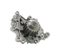 DAYCO DP2140 Pompa acqua