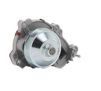 DAYCO DP2174 Pompa acqua