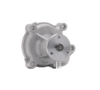 DAYCO POMPA ACQUA