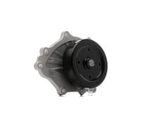 DAYCO DP278 Pompa acqua