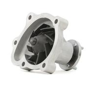 DAYCO POMPA ACQUA